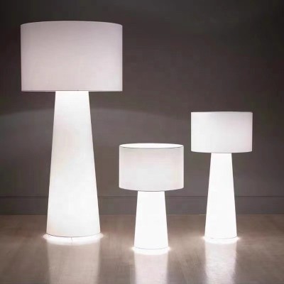 LED Floor Lamp FRL540picture5