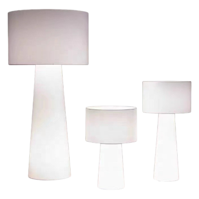 LED Floor Lamp FRL540picture1