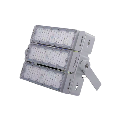 LED Tunnel Light TUN770picture1