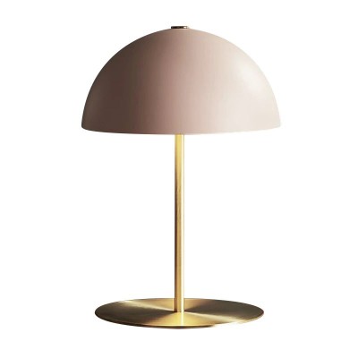 Simple Mushroom Shaped Table Lamp DTL1870picture1