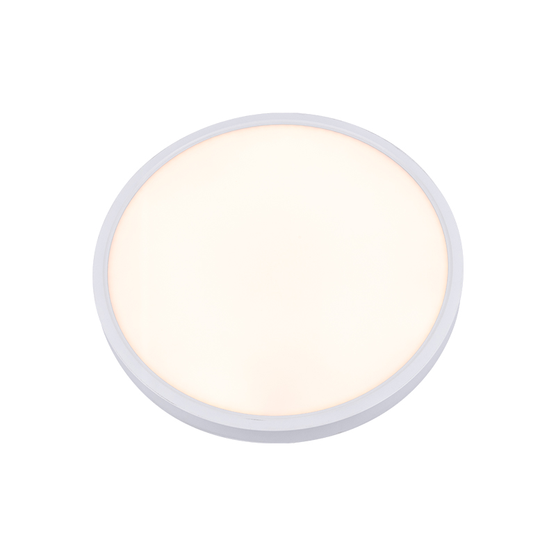 Sensor Adjust Brightness CCT Emergency IP44 LED Ceiling Lamp CL460