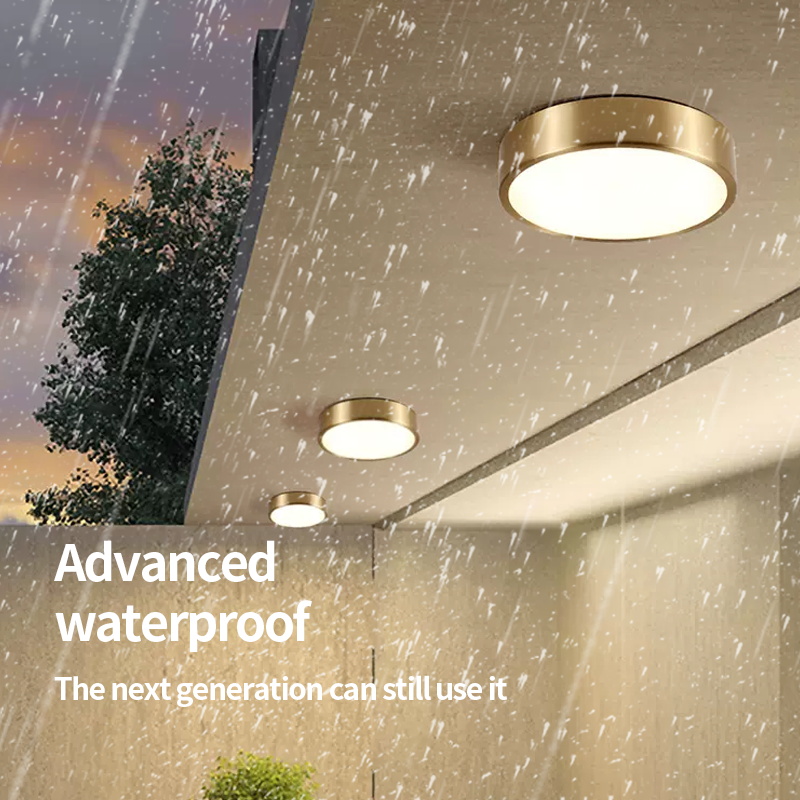 Waterproof Modern LED Outdoor Ceiling Light CL480picture4