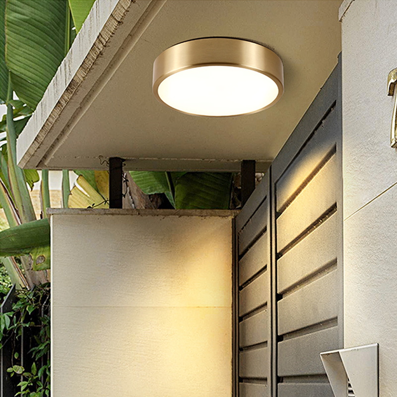 Waterproof Modern LED Outdoor Ceiling Light CL480picture6
