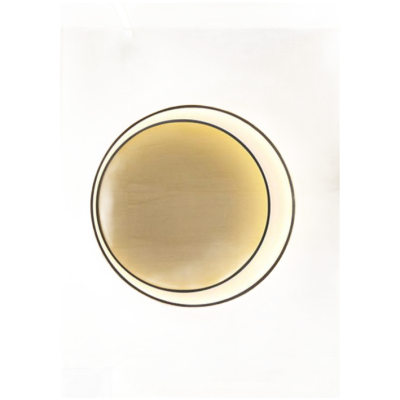 Modern Creative Waterproof IP65 Wall Lamp WL1560picture1