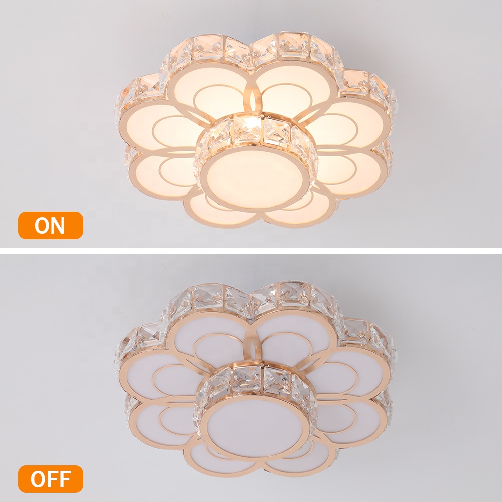 Modern Flower Design 12W Lamp Changeable LED Ceiling Light CL570picture3