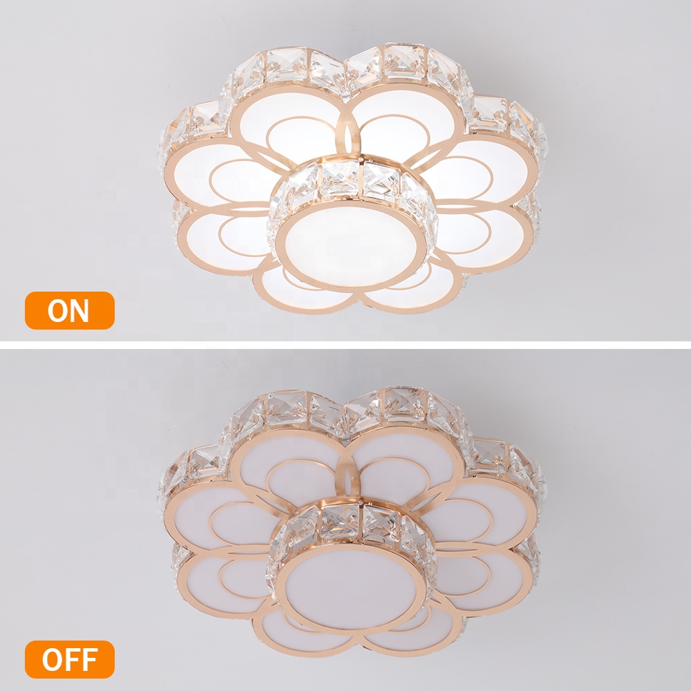 Modern Flower Design 12W Lamp Changeable LED Ceiling Light CL570picture4