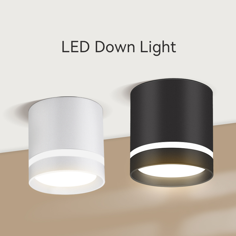 15W for Home Commercial LED Downlight DL1250picture3