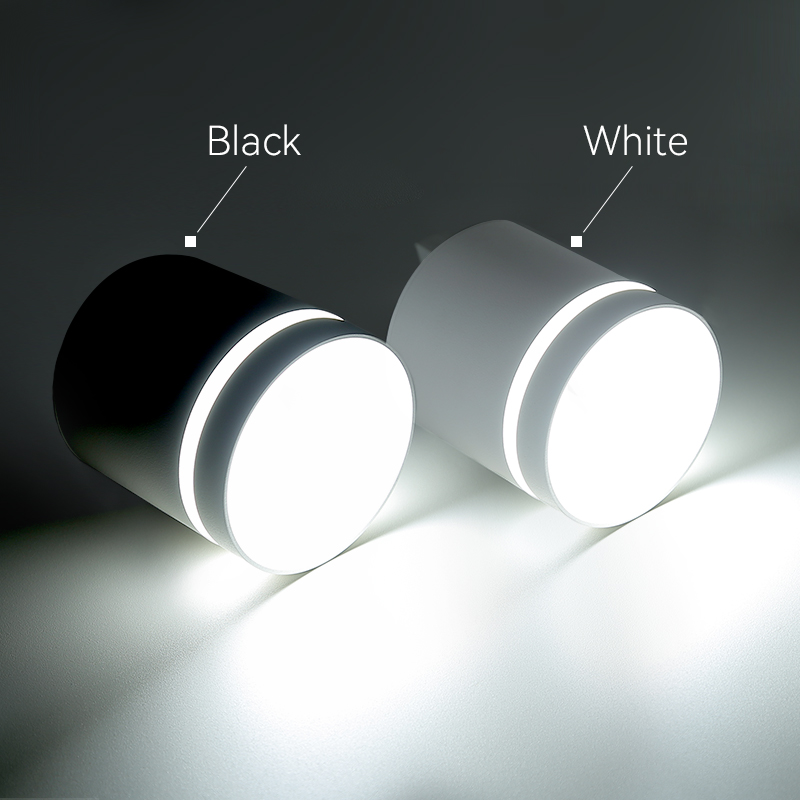 15W for Home Commercial LED Downlight DL1250picture4