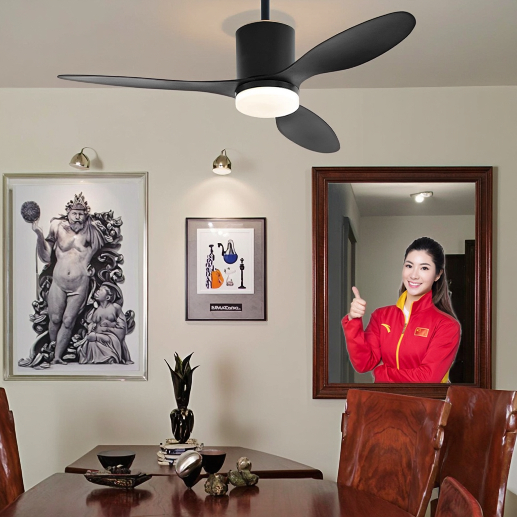Nordic Retro Commercial Ceiling Fan Lamp CL590picture2