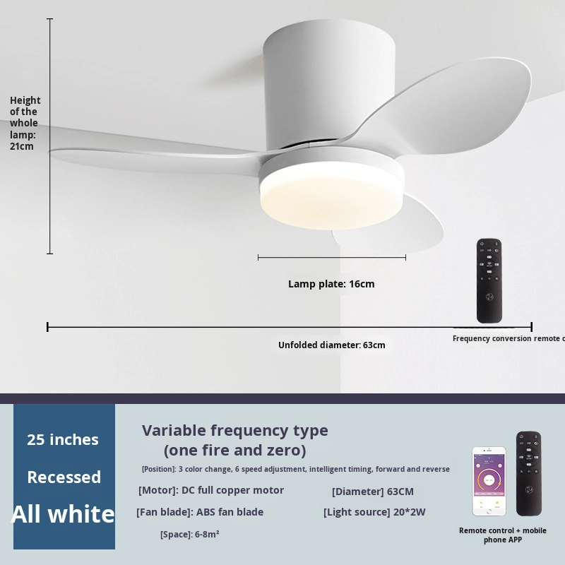 Nordic Retro Commercial Ceiling Fan Lamp CL590picture6