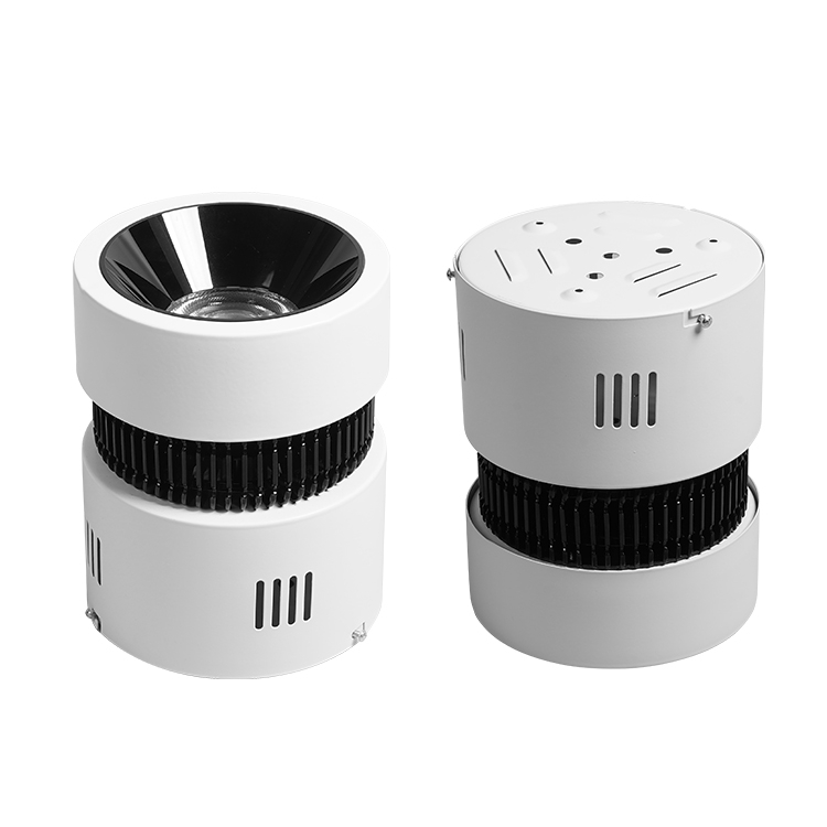 60W 80W 100W Customize Indoor Ceiling COB LED Downlight DL1360