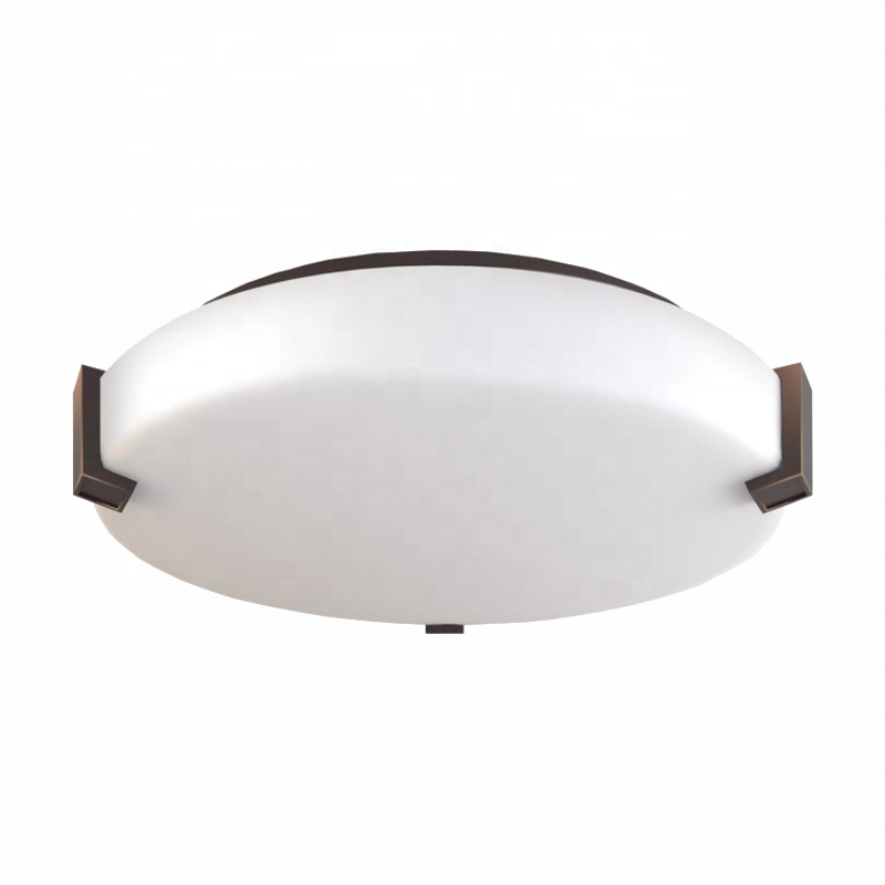 Customizable Modern Simple LED Ceiling Lamp CL650