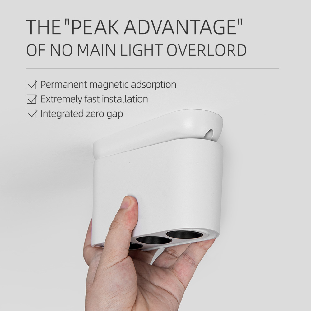 Magnetic Celling Surface Mounted Down Light DL1410picture4