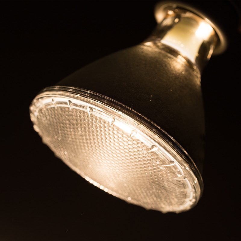Incubation PAR20 PAR30 PAR38 Reptile Spot Light Dimmable Halogen Lamp HAL2300picture4
