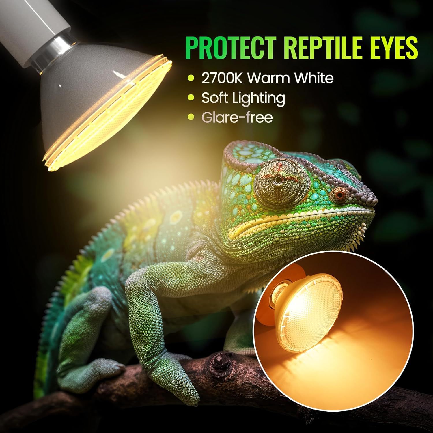 Incubation PAR20 PAR30 PAR38 Reptile Spot Light Dimmable Halogen Lamp HAL2300picture5