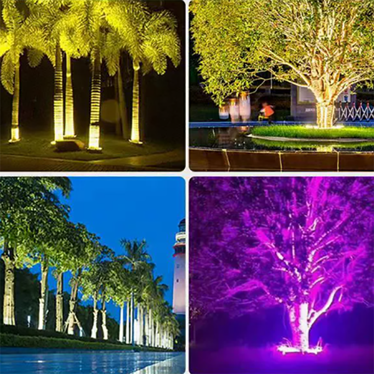 IP66 LED RGBW Decorative Cylinder Tree Hoop Lamp THL1300picture5