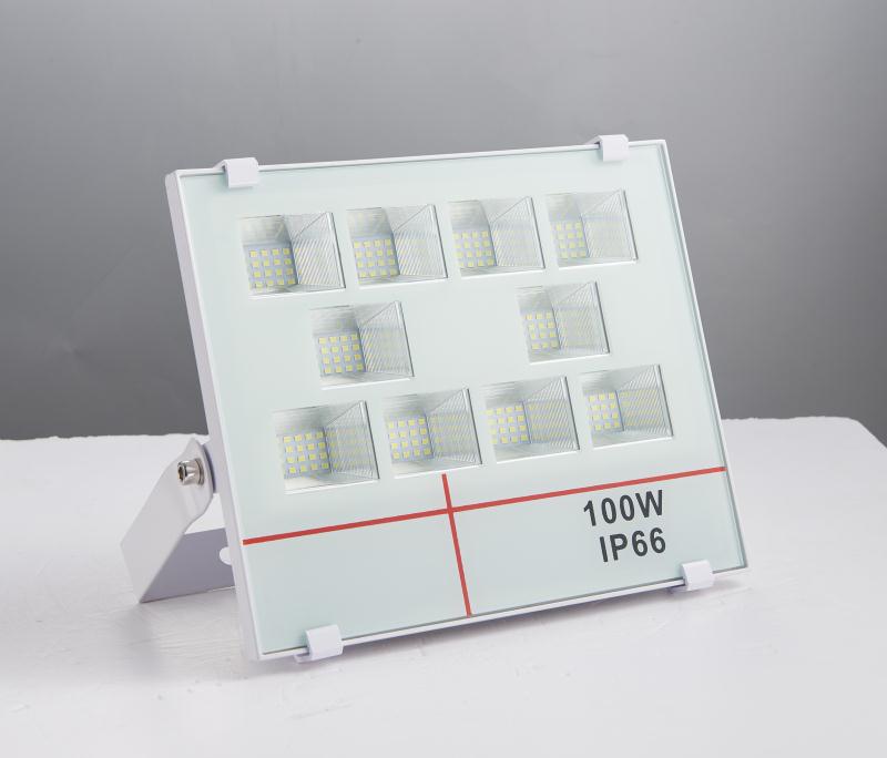 Square Aluminum IP66 New Outdoor LED Projection Floodlight FL1610picture2