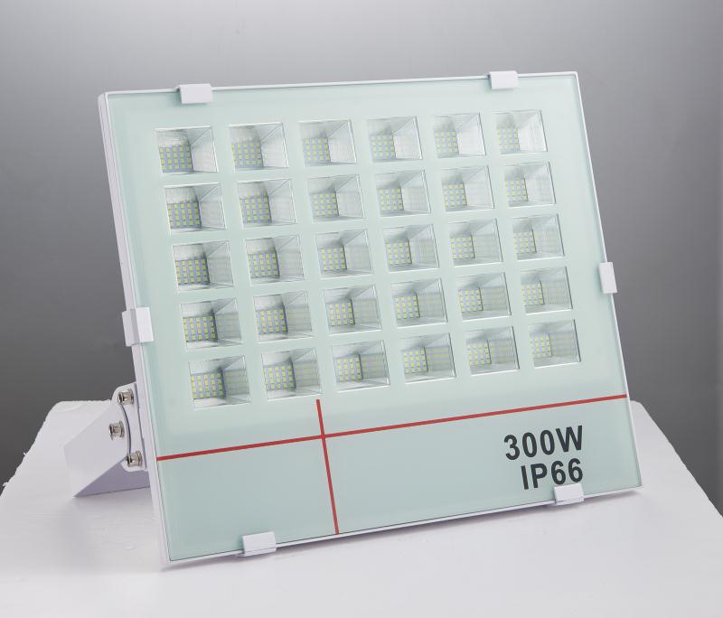 Square Aluminum IP66 New Outdoor LED Projection Floodlight FL1610picture5