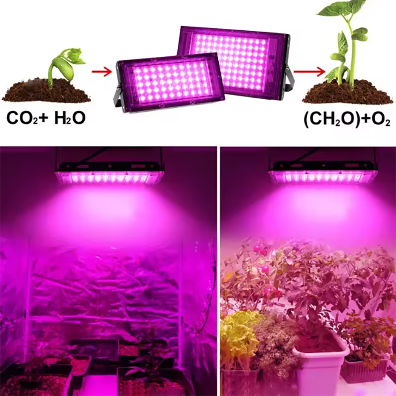 300W LED Indoor Plant Light IP65 Aluminum LED Grow Light GRW640picture3