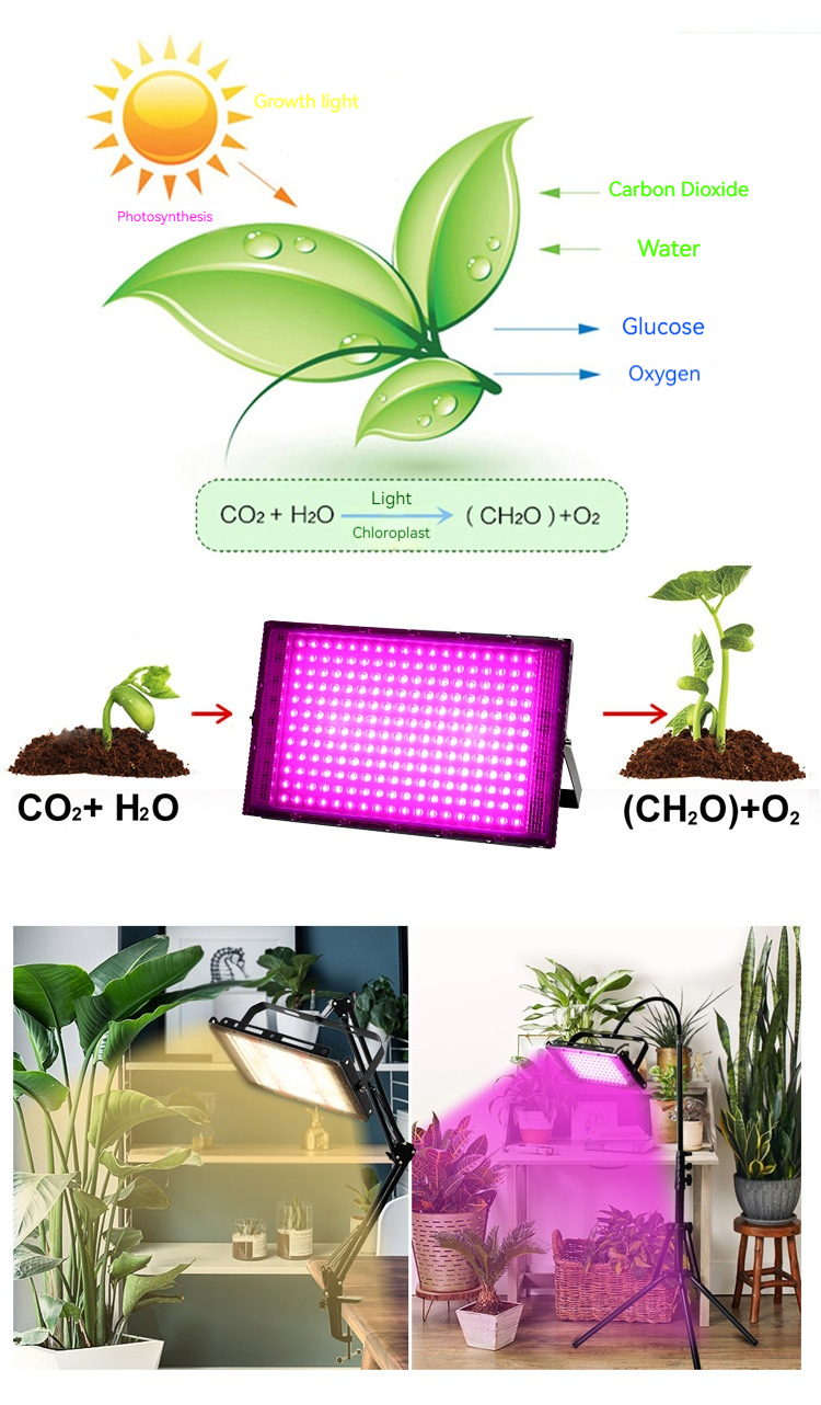 300W LED Indoor Plant Light IP65 Aluminum Lamp Body Spectrum White & IR UV Bloom Red Emission for Flower & Plant Growth