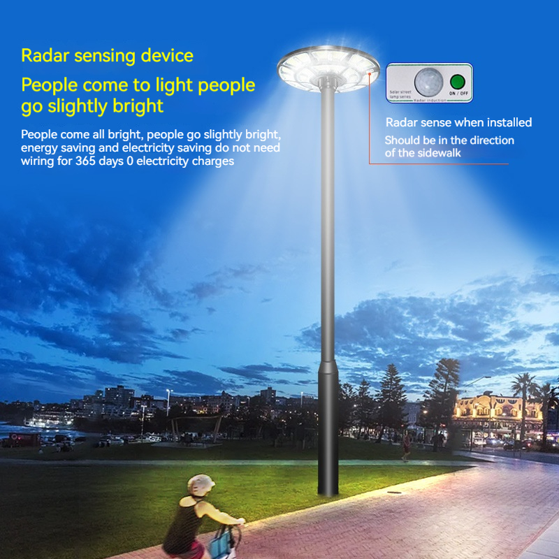 Integrated Modern IP65 LED Solar Street Light SSL1250picture4