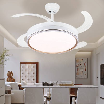 Modern Simple Silent 42 Inch Fan Light CL530picture4