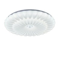 Modern Style Warm Round Study Lamp LED Ceiling Lights CL550