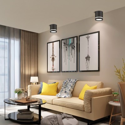 15W for Home Commercial LED Downlight DL1250picture8
