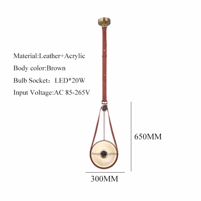 Modern Single Ceiling Pendant Light PEN580picture4