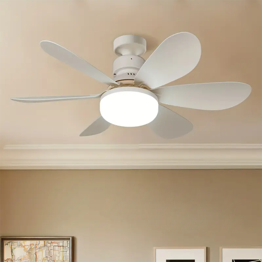 Remote Control LED Ceiling Fan with Lighting Lamp CL670picture4