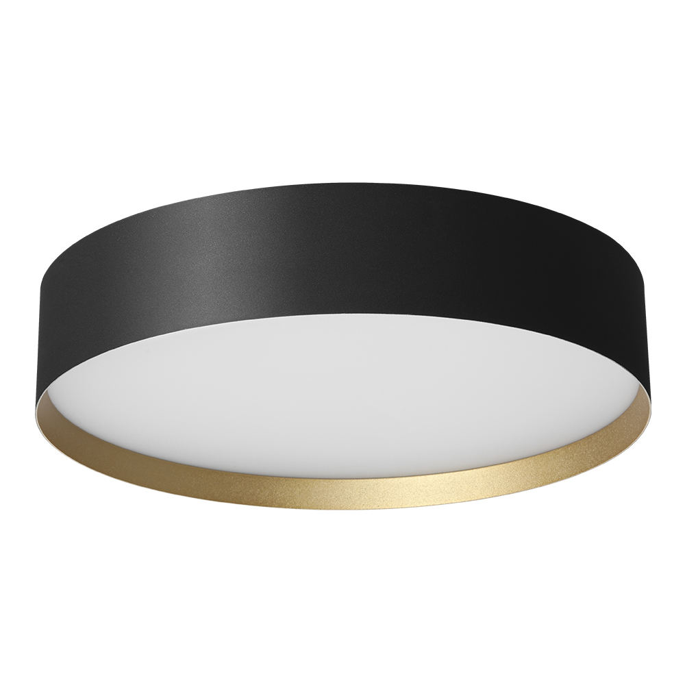 Home Round LED Ceiling Lights CL710