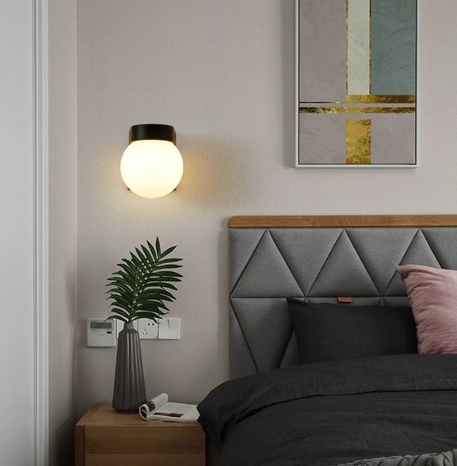Acrylic Circular Decorative Outdoor LED Wall Lamp WL2800picture5