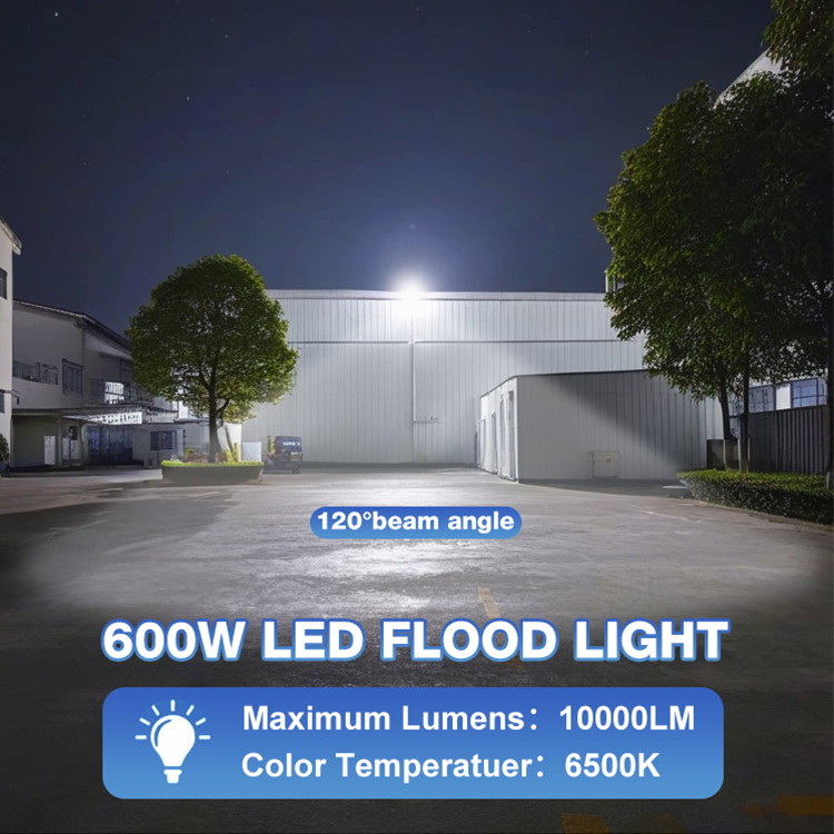 Outdoor Waterproof IP65 Aluminium 100W-600W LED Floodlight FL1640picture5