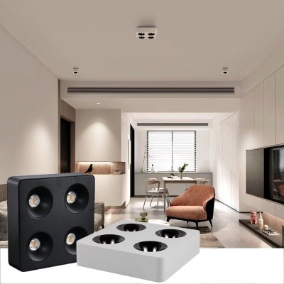 4-Head Spotlight 48W Modern LED Ceiling Downlights DL1260picture7