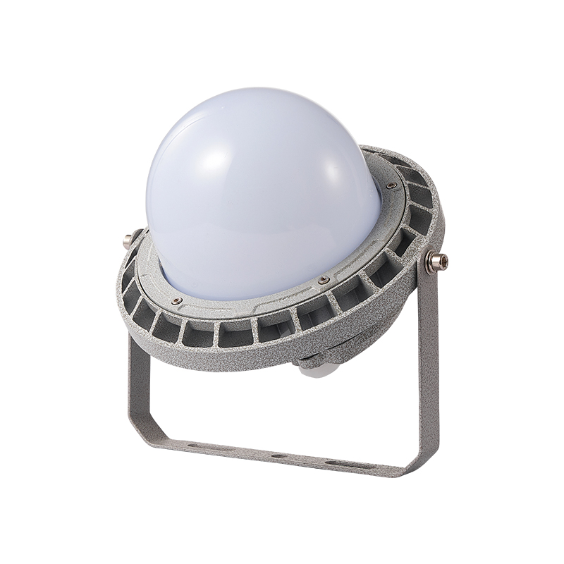IP66 Waterproof 50W 100W 150W LED Explosion-Proof Light EXP2400