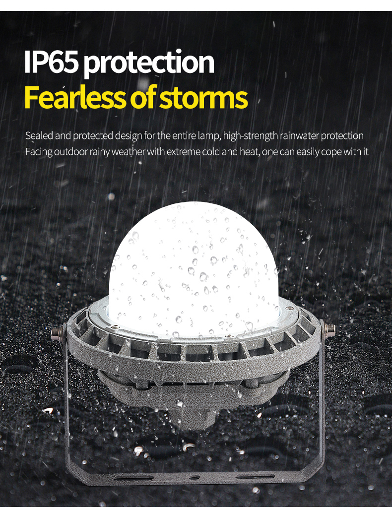 Wholesale Price Explosion-Proof Light Ip66 Waterproof Factory 50w 100w 150w Die-cast Aluminum Led Explosion Proof Light