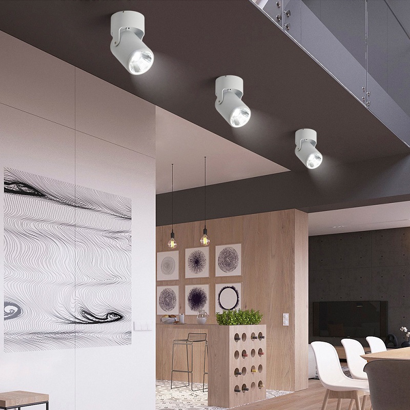Clothes Shop Shopping Mall LED Surface Mounted Spotlights Downlight DL1460picture5
