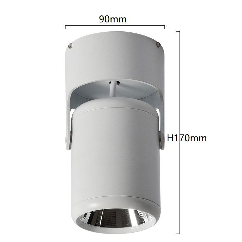 Clothes Shop Shopping Mall LED Surface Mounted Spotlights Downlight DL1460picture6