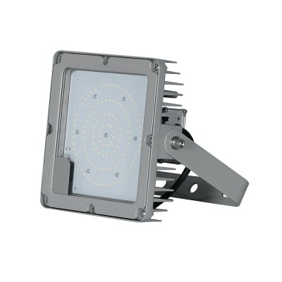 50W-150W Atex Explosion Proof Light EXP2300picture4