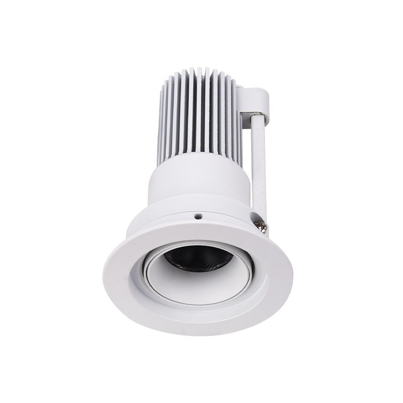 Customizable Modern Indoor 15W LED Ceiling Downlight DL1510