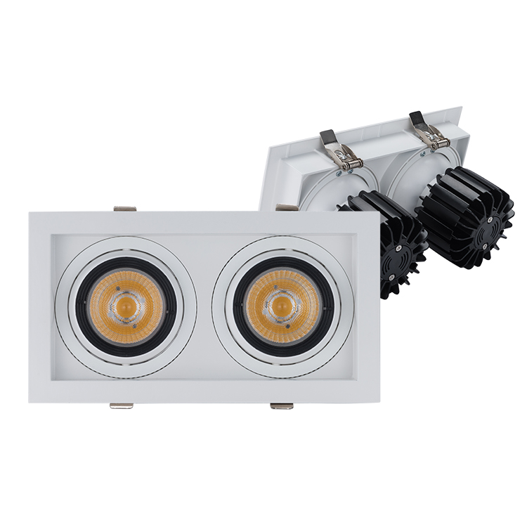 220V COB 2*20 25 30W Indoor Recessed LED Downlight DL1630
