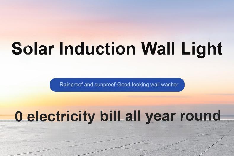 Automatic LED Solar Garden Lights with Human Body Induction IP65 Waterproof Outdoor Lighting