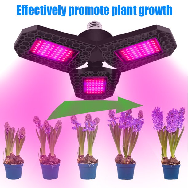 Plug-and-Play Commercial LED Plant Grow Light E27/E26 Tent for Veg Flower Growth Red Blue Emitting Promotes Growth Greenhouse