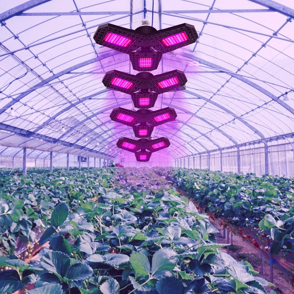 Plug-and-Play Commercial LED Plant Grow Light E27/E26 Tent for Veg Flower Growth Red Blue Emitting Promotes Growth Greenhouse