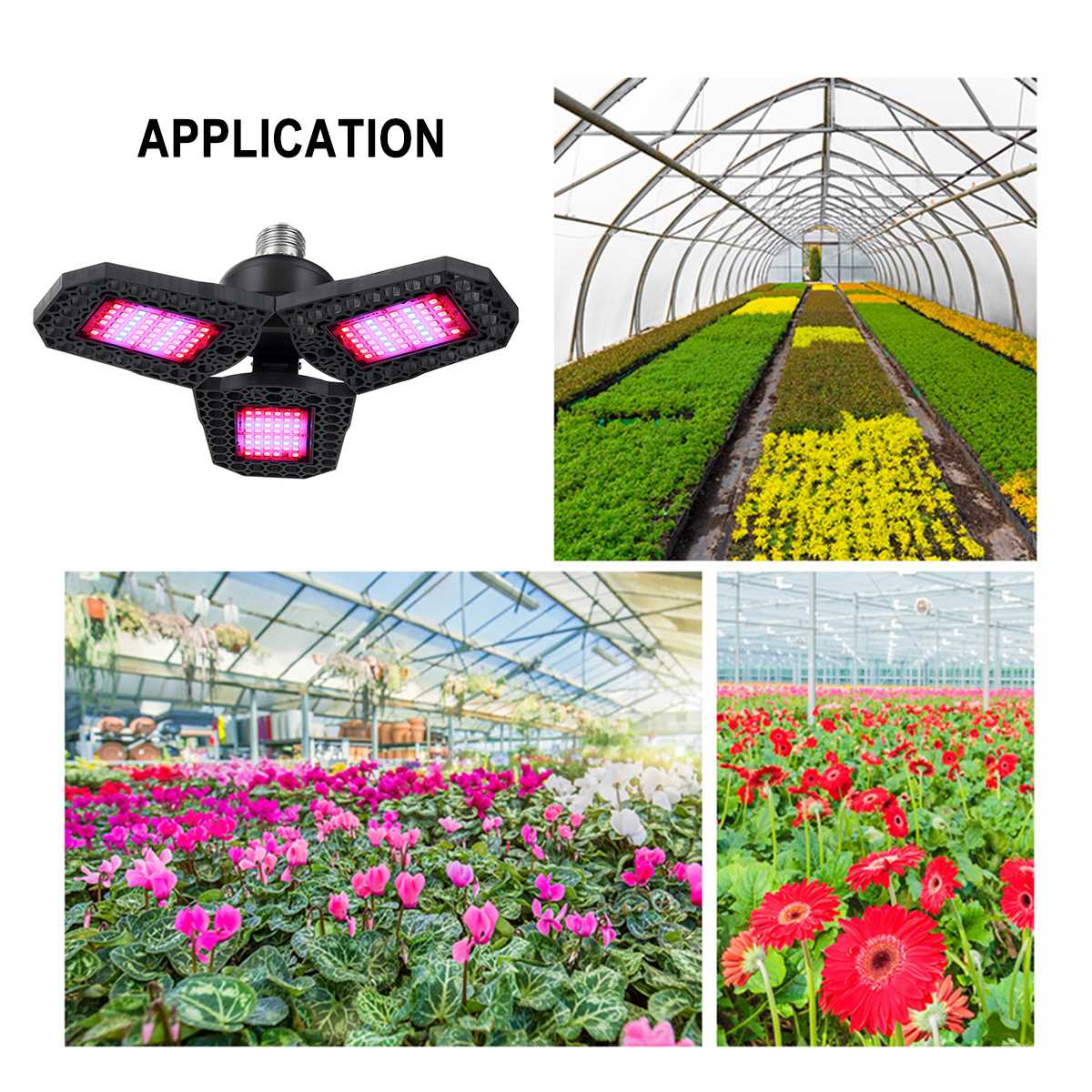 Plug-and-Play Commercial LED Plant Grow Light E27/E26 Tent for Veg Flower Growth Red Blue Emitting Promotes Growth Greenhouse