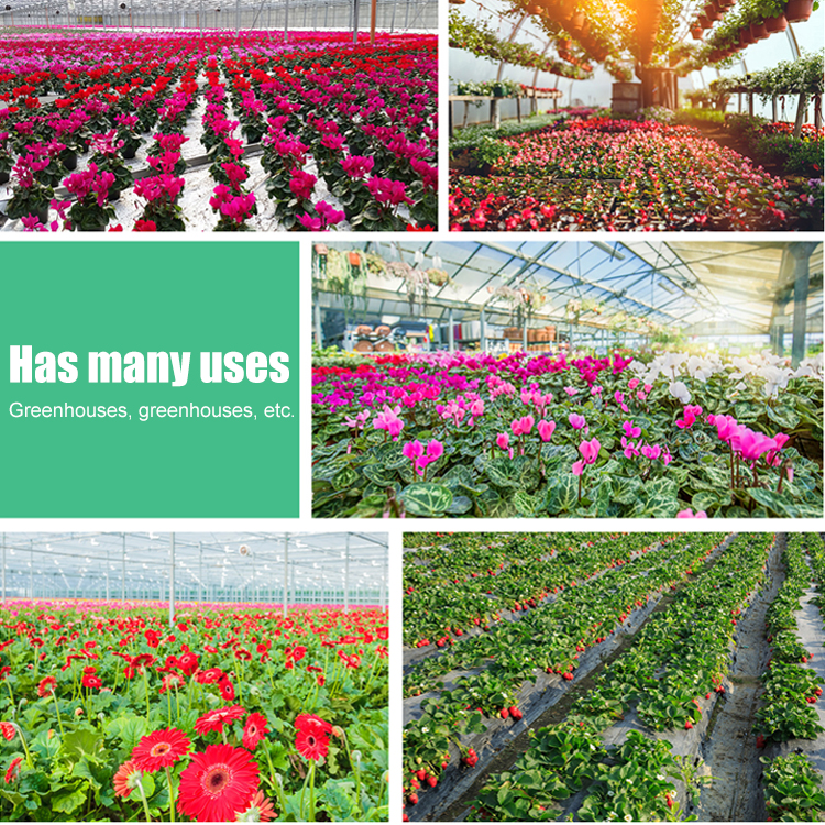 Plug-and-Play Commercial LED Plant Grow Light E27/E26 Tent for Veg Flower Growth Red Blue Emitting Promotes Growth Greenhouse