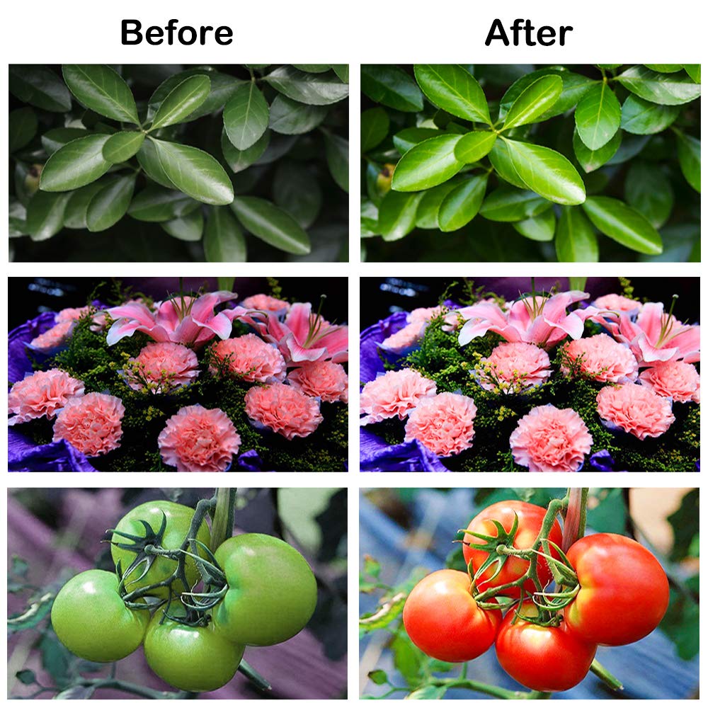 Plug-and-Play Commercial LED Plant Grow Light E27/E26 Tent for Veg Flower Growth Red Blue Emitting Promotes Growth Greenhouse
