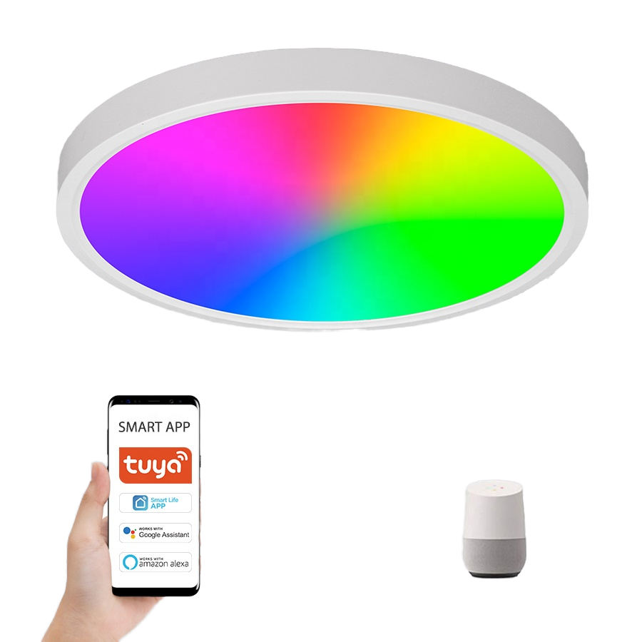 22W Tuya App Remote Control LED Smart Ceiling Light CL810