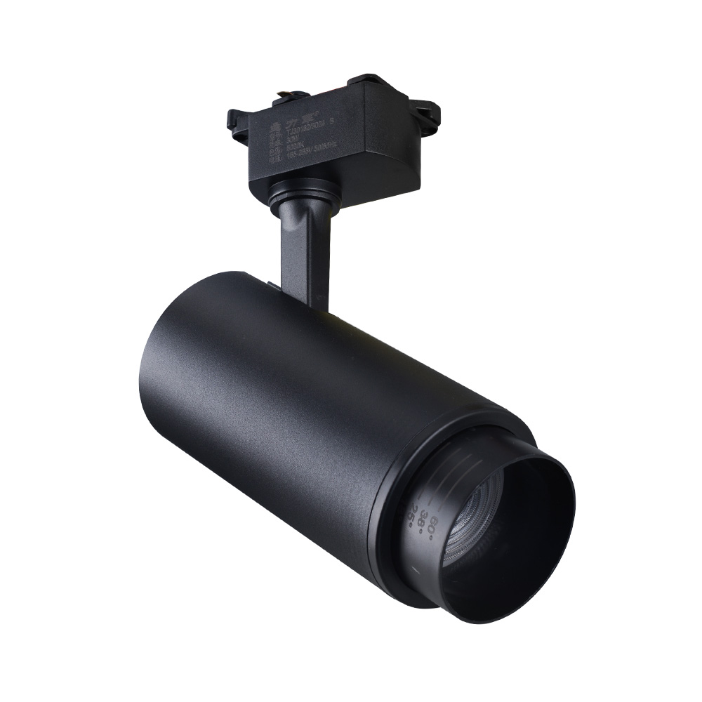 Modern Aluminum Indoor Adjustable Angle LED Track Light TR1090