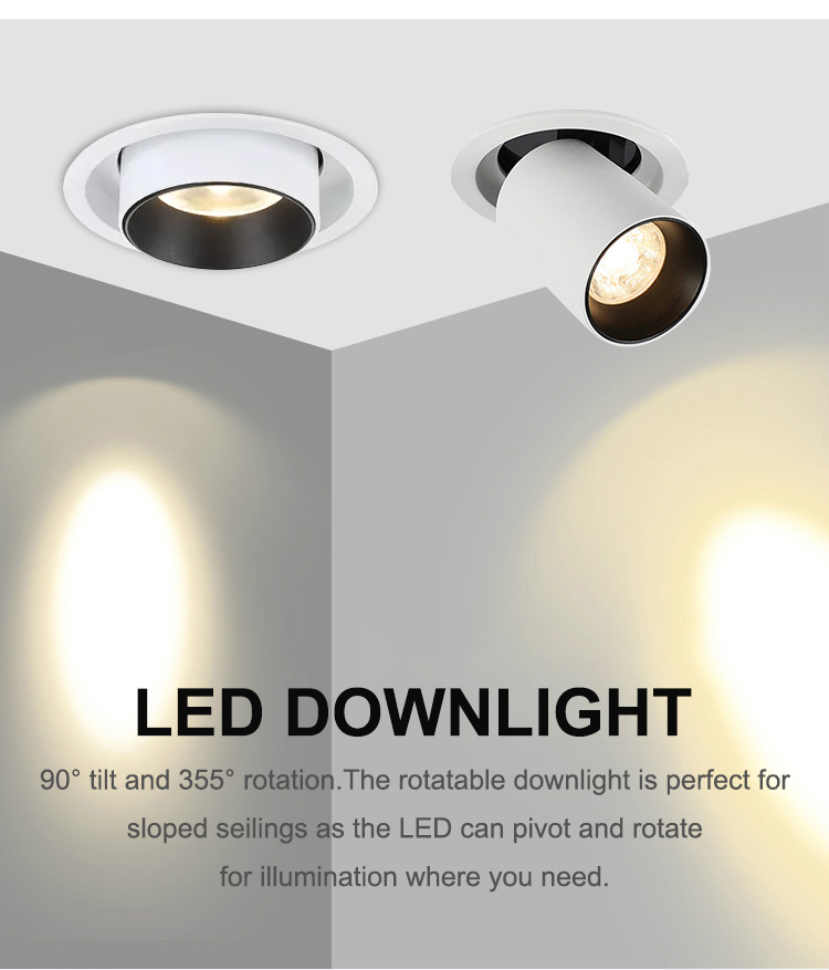 Commercial 25 Adjustable Led Downlight White Color Spotlights Adjustable Led Recessed Downlight Double Cob Downlight